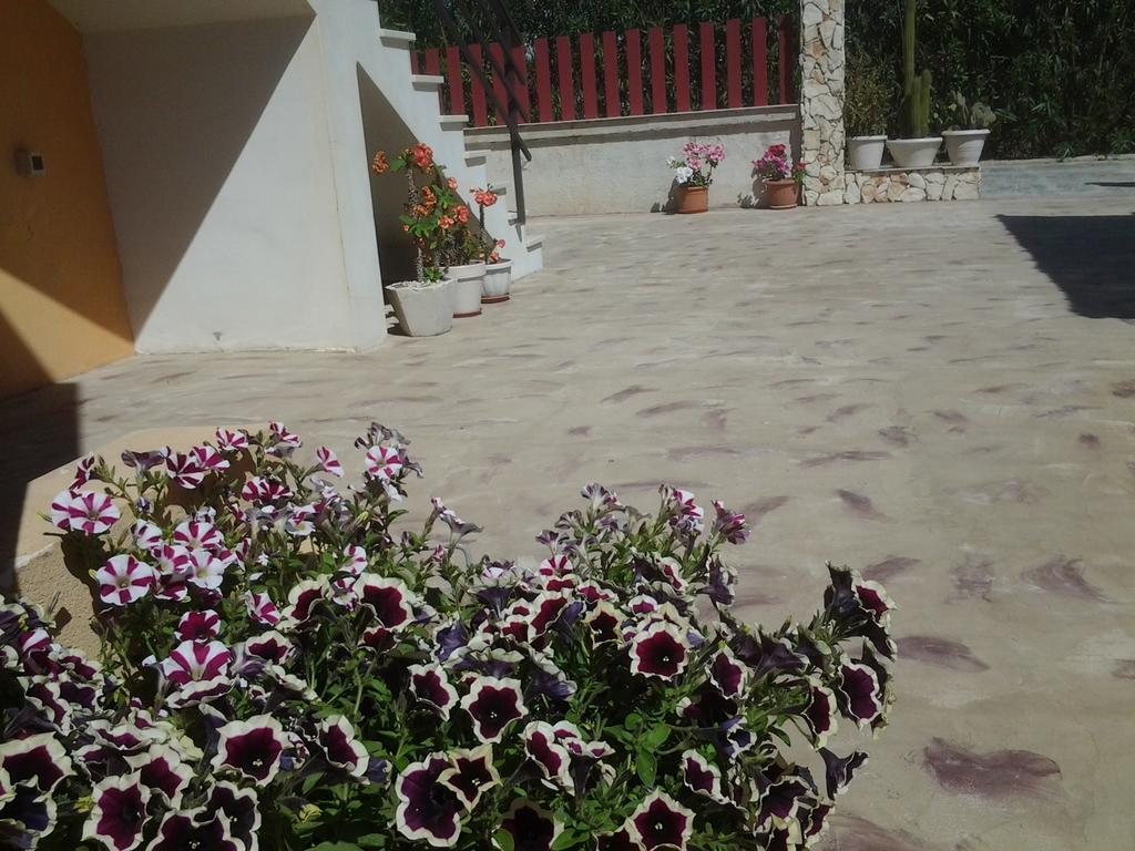 Kamarina Land Bed & Breakfast Santa Croce Camerina Bagian luar foto